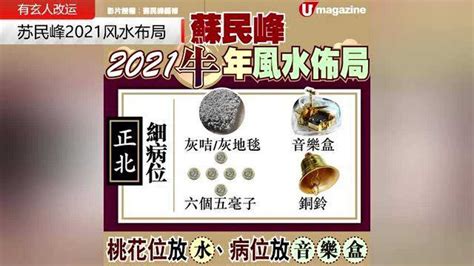 苏民峰2024风水布局